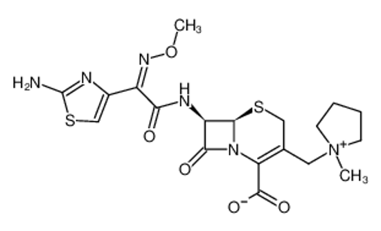 Picture of cefepime