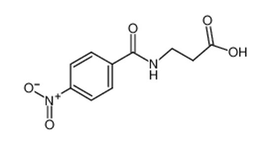 Picture of 3-[(4-nitrobenzoyl)amino]propanoic acid