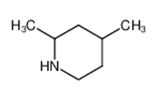 Picture of 2,4-Dimethylpiperidine