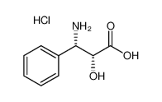 Picture of (2R,3S)-3-Phenylisoserine hydrochloride
