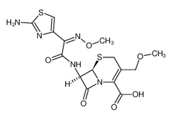 Picture of cefpodoxime