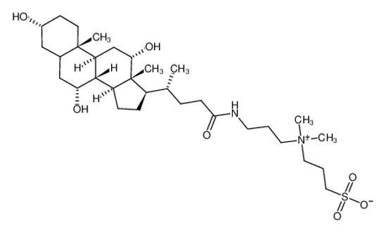 Picture of 3-((3-Cholamidopropyl)dimethylammonium)-1-propanesulfonate