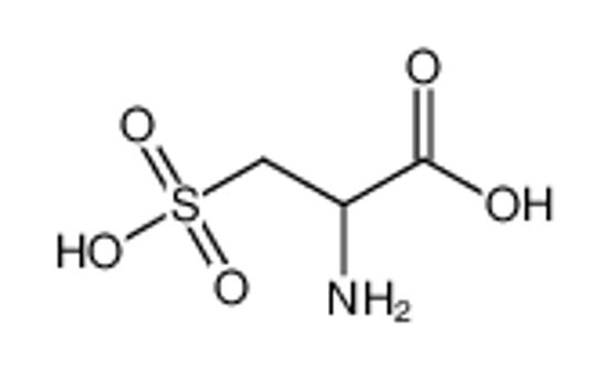 Picture of DL-CYSTEIC ACID
