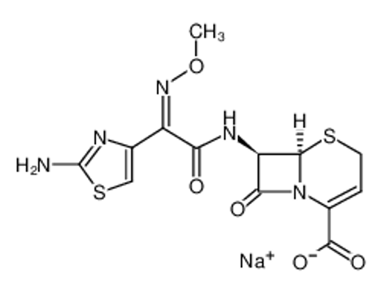 Picture of ceftizoxime sodium