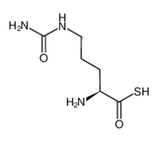 Изображение 2-amino-5-(carbamoylamino)pentanethioic S-acid