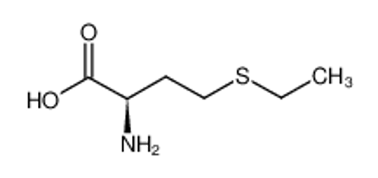 Picture of D-ethionine