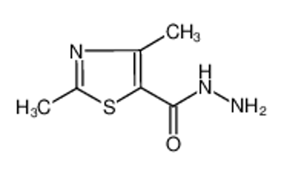 Изображение 2,4-dimethyl-1,3-thiazole-5-carbohydrazide