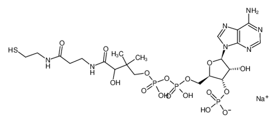 Picture of COENZYME A SODIUM SALT