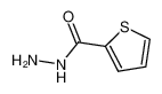 Picture of thiophene-2-carbohydrazide