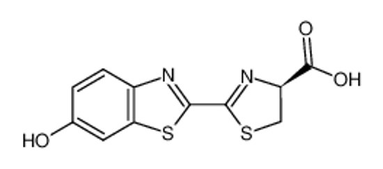 Picture of D-Luciferin potassium salt