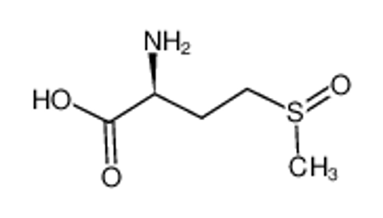 Picture of L-methionine S-oxide