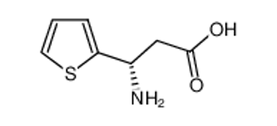 Picture of (3S)-3-amino-3-thiophen-2-ylpropanoic acid
