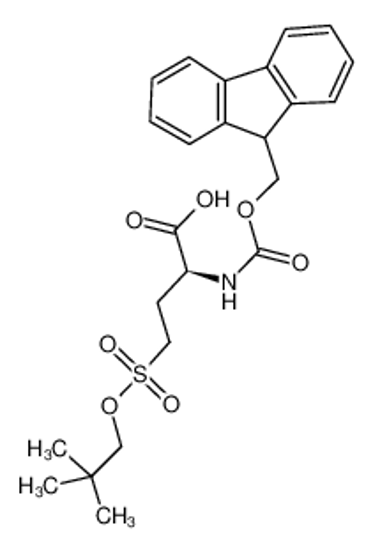Изображение (2S)-4-(2,2-dimethylpropoxysulfonyl)-2-(9H-fluoren-9-ylmethoxycarbonylamino)butanoic acid