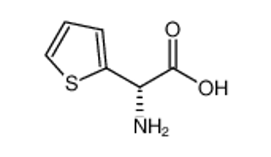Picture of (R)-2-THIENYLGLYCINE