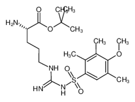 Изображение H-ARG(MTR)-OTBU