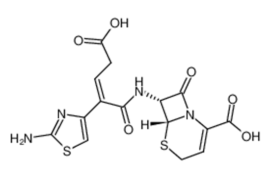 Picture of ceftibuten