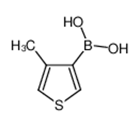 Picture of 4-Methyl-3-thiopheneboronic acid