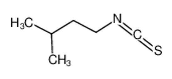 Picture of 3-Methylbutyl isothiocyanate