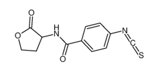 Изображение 4-isothiocyanato-N-(2-oxooxolan-3-yl)benzamide