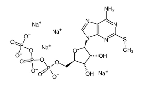 Picture of 2-Methylthioadenosine triphosphate tetrasodium salt,2-Methylthioadenosine-5'-triphosphatetetrasodiumsalt