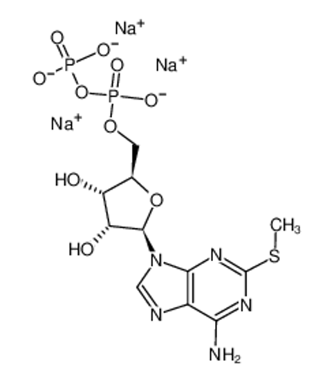 Picture of 2-Methylthioadenosine diphosphate trisodium salt,2-(Methylthio)adenosine-5'-(trihydrogendiphosphate)trisodiumsalt