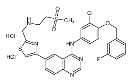 Picture of (4-(3-Fluoro-benzyloxy)-3-chlorophenyl)-(6-(2-((2-methanesulphonyl-ethylamino)methyl)-thiazol-4-yl)-quinazolin-4-yl)-amine