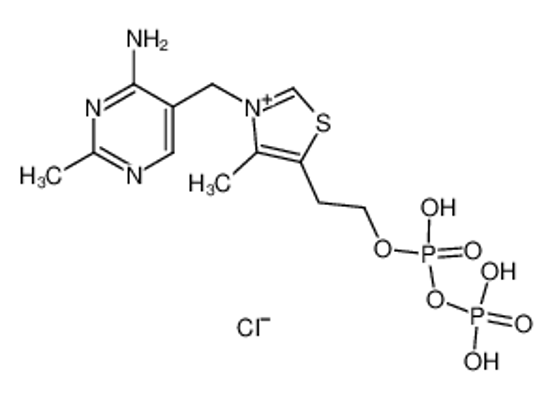 Picture of thiamine(1+) diphosphate