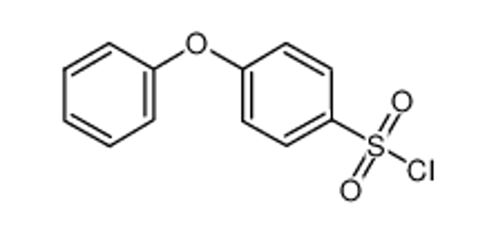 Picture of 4-PHENOXYBENZENESULFONYL CHLORIDE