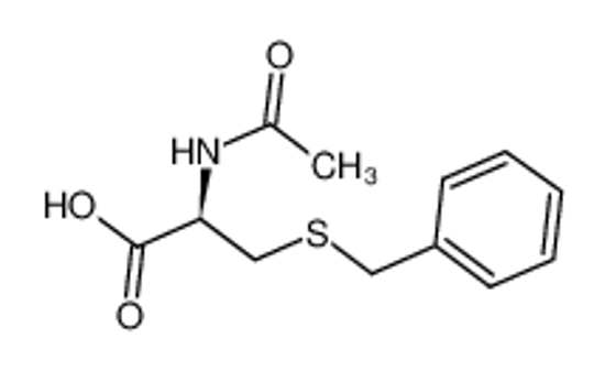 Picture of N-ACETYL-S-BENZYL-L-CYSTEINE