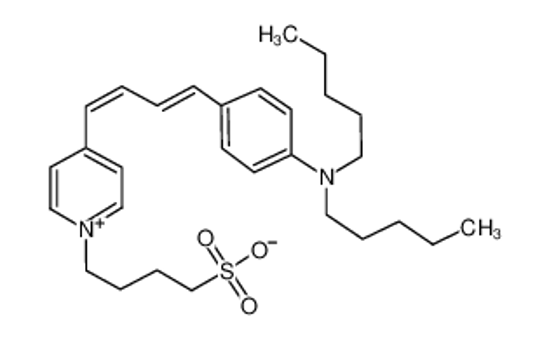 Изображение 4-[4-[(1E,3E)-4-[4-(dipentylamino)phenyl]buta-1,3-dienyl]pyridin-1-ium-1-yl]butane-1-sulfonate