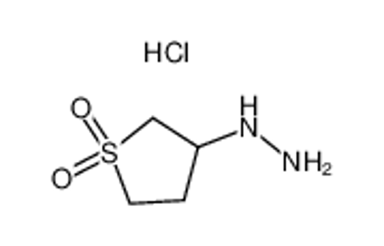 Picture of (1,1-Dioxidotetrahydro-3-thienyl)hydrazine hydrochloride