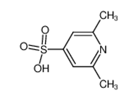 Picture of 2,6-Dimethylpyridine-4-sulfonic acid