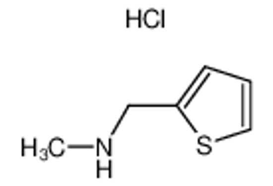 Picture of N-Methyl-(2-thienylmethyl)amine