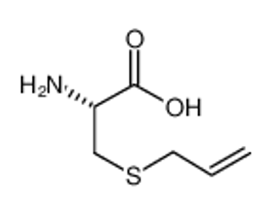 Picture of S-ALLYL-L-CYSTEINE