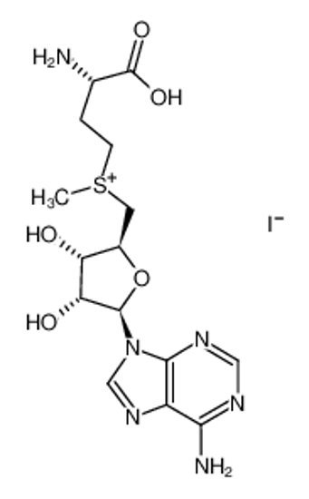 Picture of S-ADENOSYL-L-METHIONINE IODIDE SALT