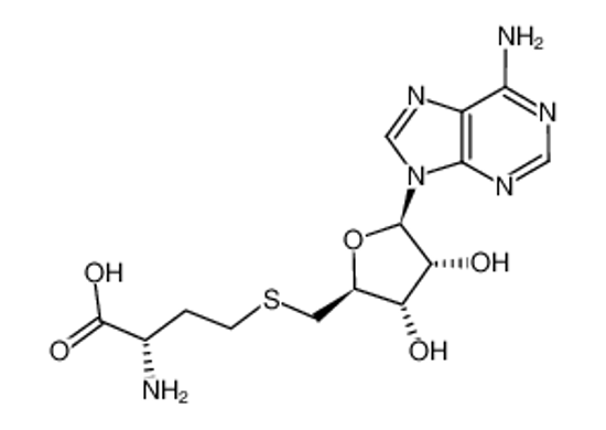 Picture of S-adenosyl-L-homocysteine