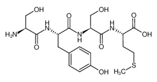 Изображение ACTH (1-4)