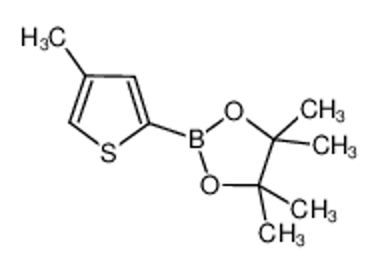 Imagem de 4,4,5,5-Tetramethyl-2-(4-methylthiophen-2-yl)-1,3,2-dioxaborolane