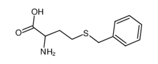 Picture of S-BENZYL-DL-HOMOCYSTEINE