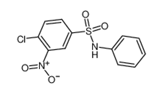 Picture of 4-chloro-3-nitro-N-phenylbenzenesulfonamide