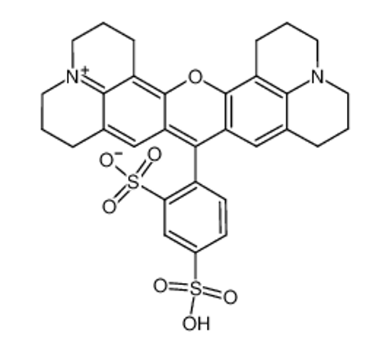 Picture of sulforhodamine 101