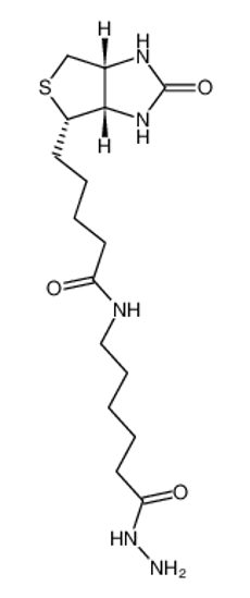Picture of (+)-Biotinamidohexanoic acid hydrazide
