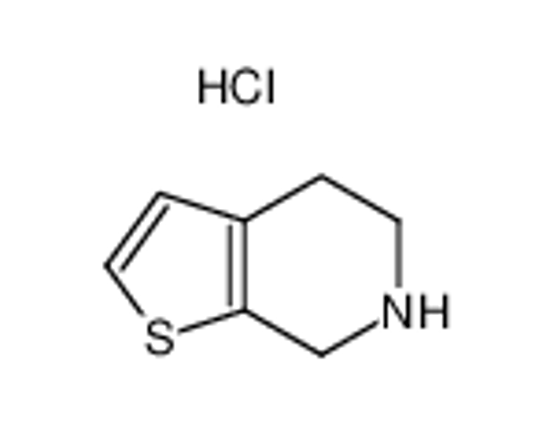 Picture of 4,5,6,7-Tetrahydrothieno[2,3-c]pyridine Hydrochloride