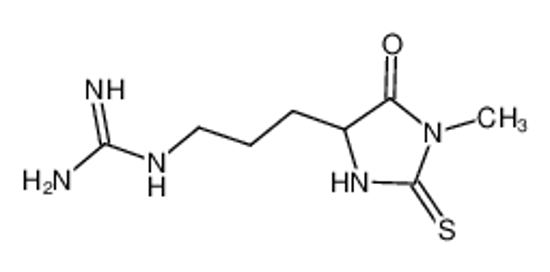 Picture of 2-[3-(1-methyl-5-oxo-2-sulfanylideneimidazolidin-4-yl)propyl]guanidine,hydrochloride