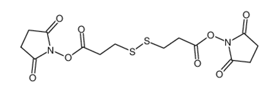 Picture of 3,3'-DITHIODIPROPIONIC ACID DI(N-SUCCINIMIDYL ESTER)