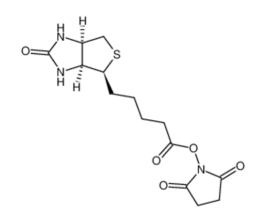 Imagem de (2,5-dioxopyrrolidin-1-yl) 5-[(3aS,4S,6aR)-2-oxo-1,3,3a,4,6,6a-hexahydrothieno[3,4-d]imidazol-4-yl]pentanoate