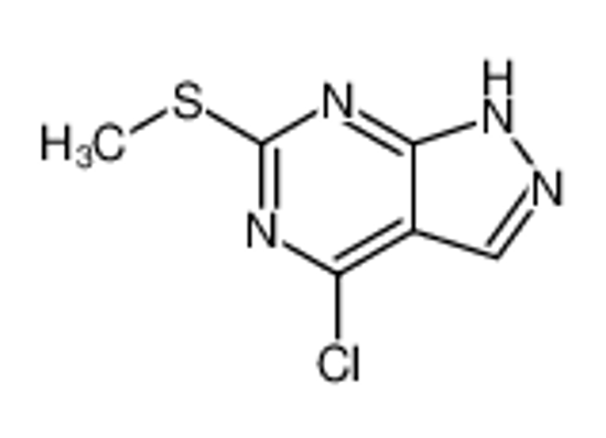 Picture of 4-chloro-6-methylsulfanyl-1H-pyrazolo[3,4-d]pyrimidine