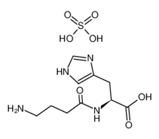 Picture of L-HOMOCARNOSINE SULFATE