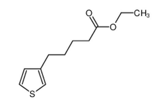 Изображение ethyl 5-thiophen-3-ylpentanoate