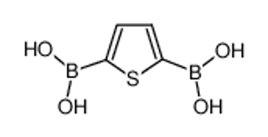 Picture of 2,5-Thiophenediboronic acid